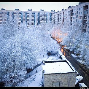 вот такие вот баги природы...