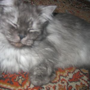 А Вот и мои фотографии)))))