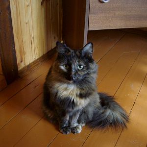 Котькины фотки^^