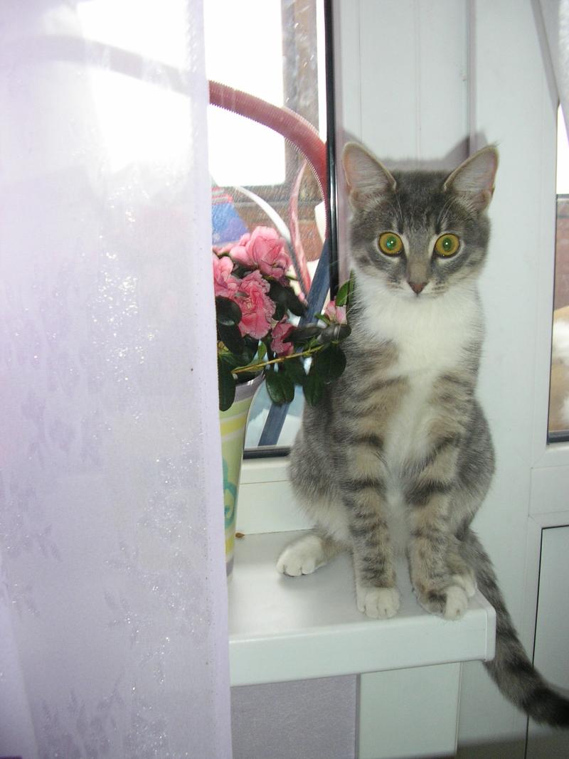 Малютка)