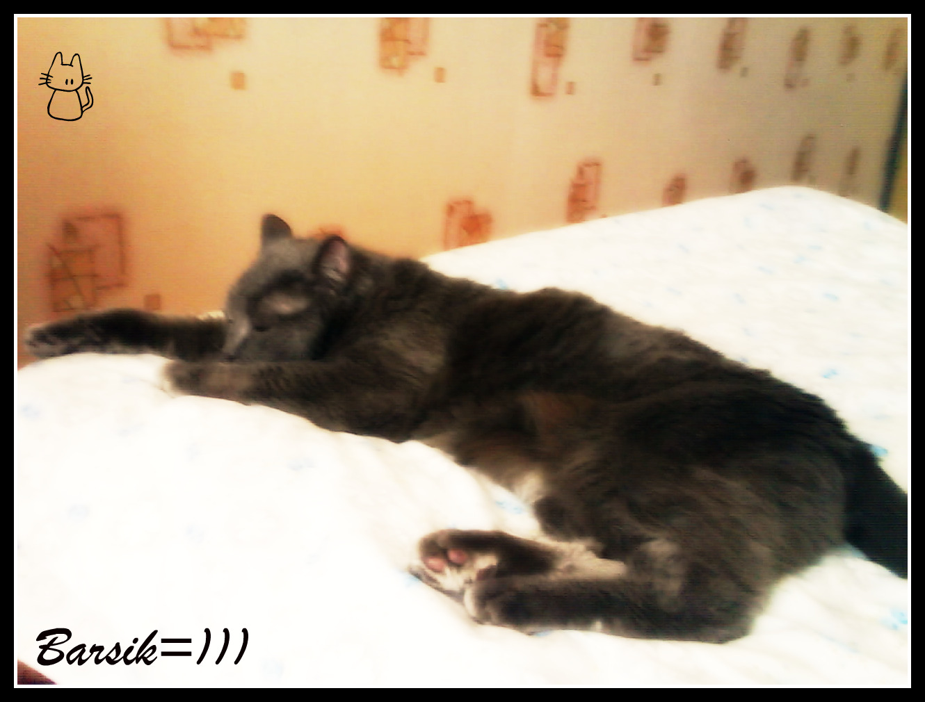 Мой котик=))))