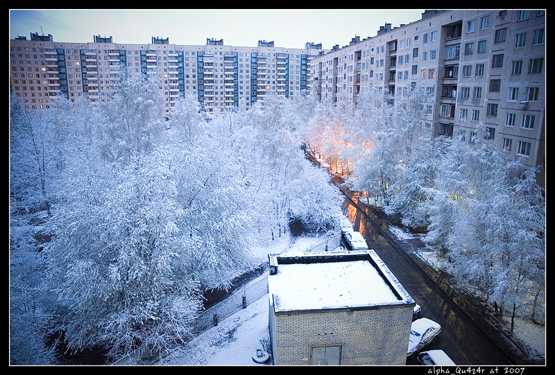 вот такие вот баги природы...